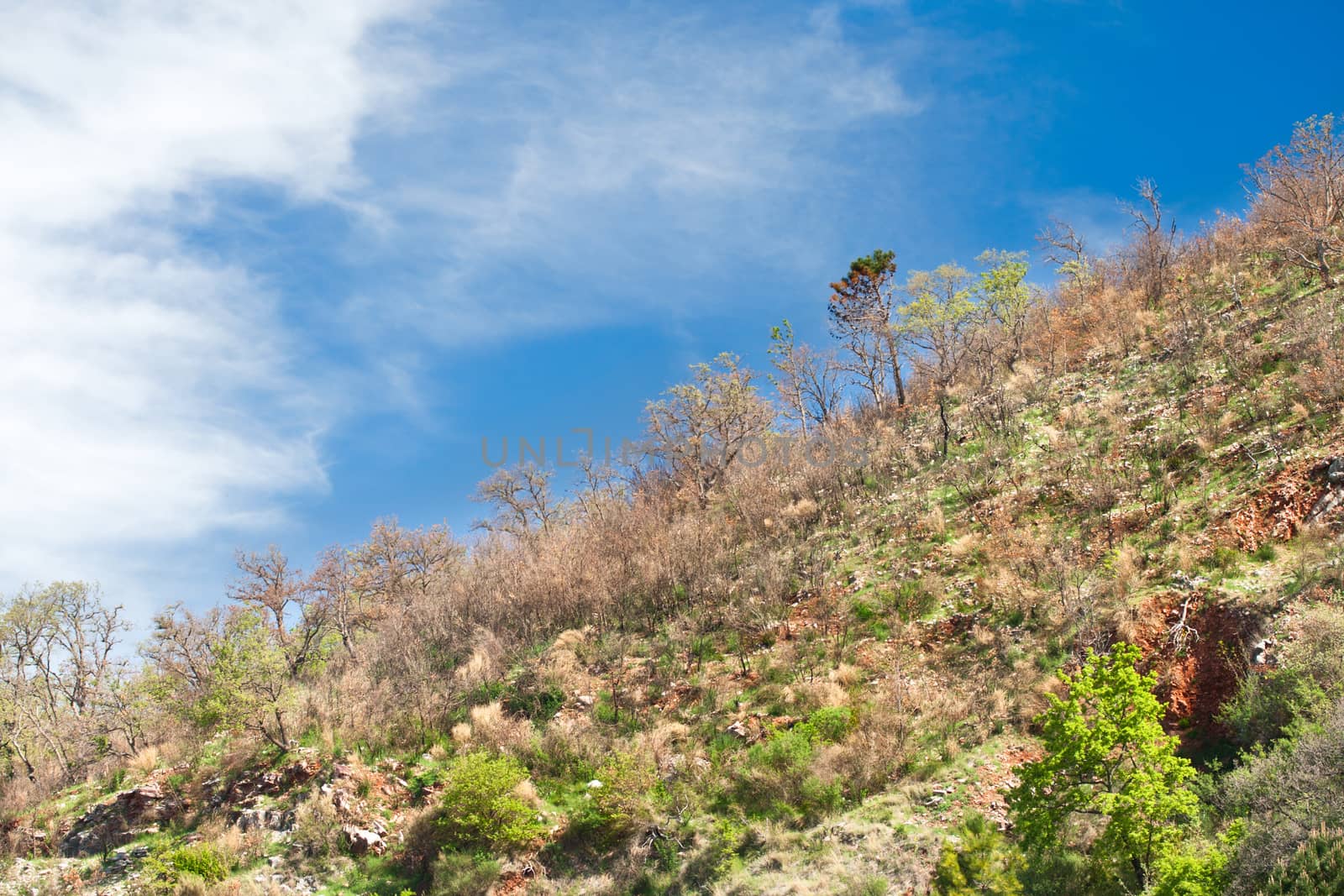 Mountain landscape in Montenegro