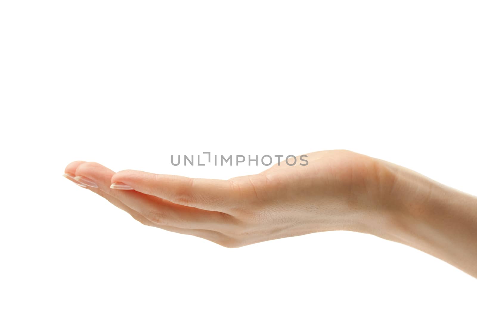 Female hand on a white background 