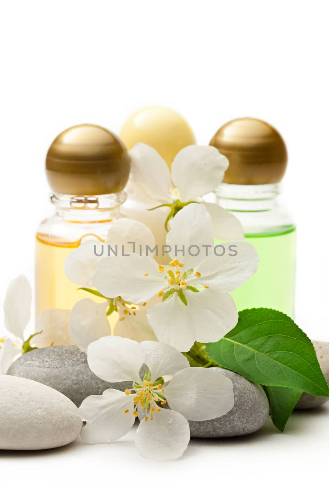 Apple tree flowers, stones and shampoo