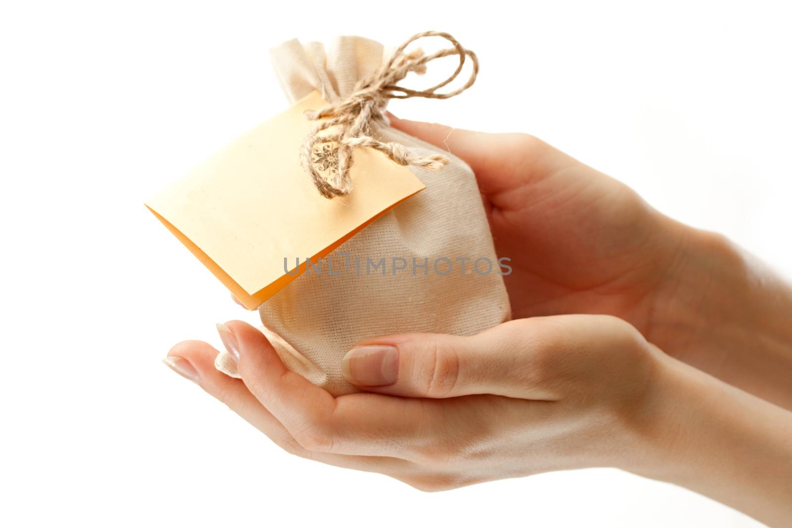 Gift sack with card in female hands