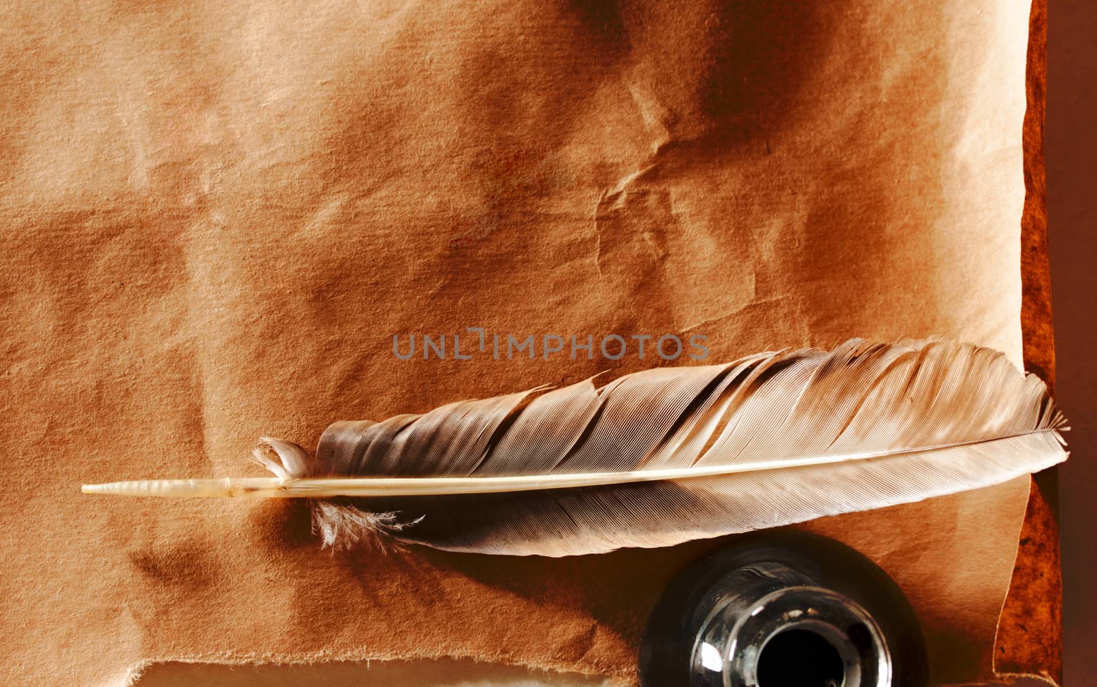 Feather and ink bottle on paper background 