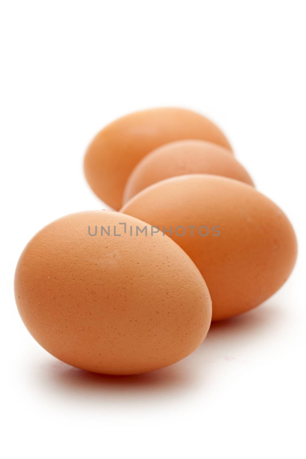 Eggs on the white background