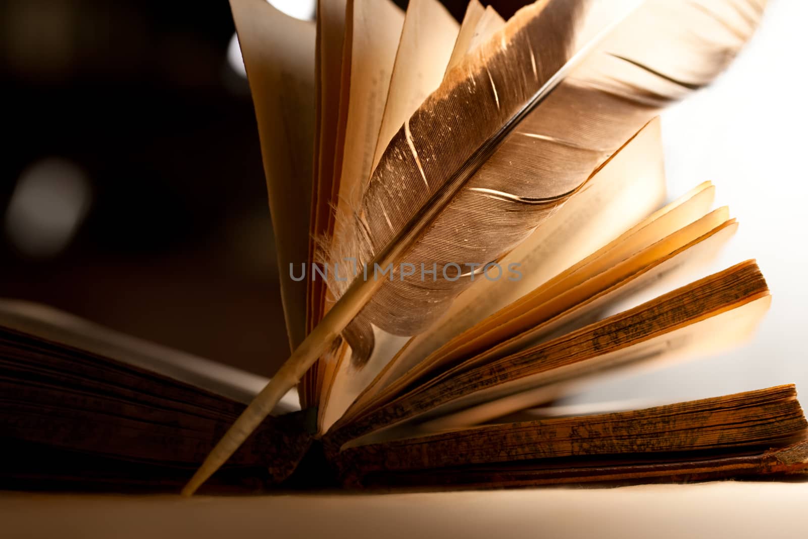 Feather and old open book 