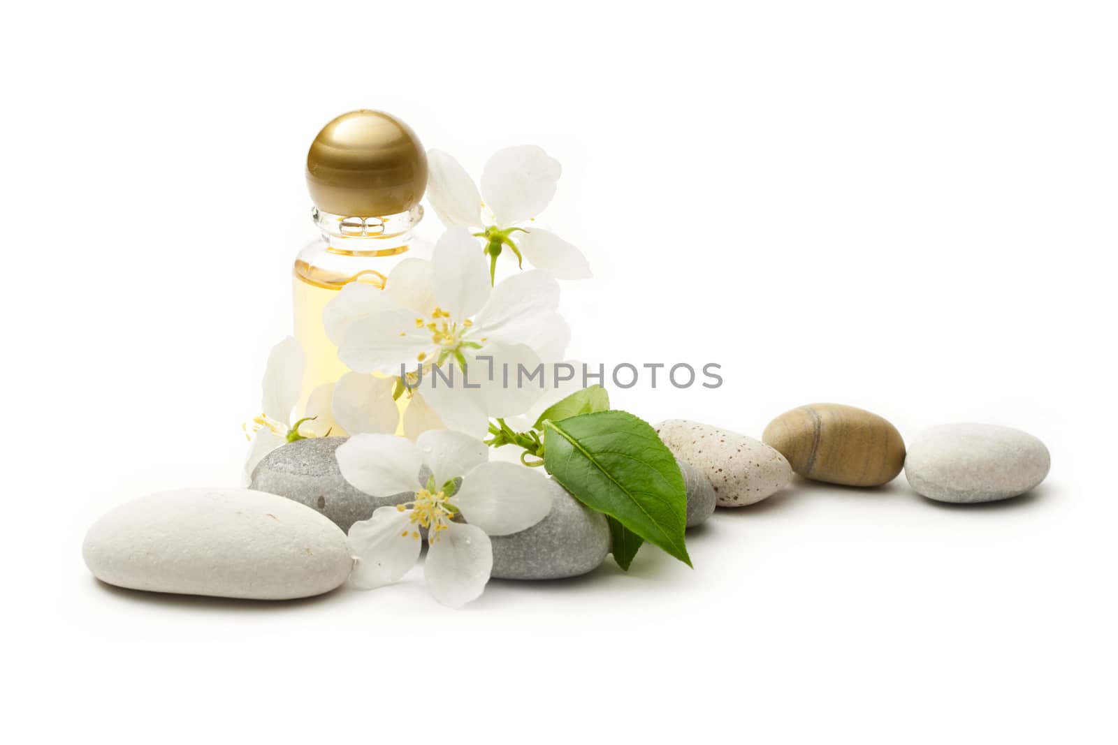 Apple tree flowers, stones and shampoo