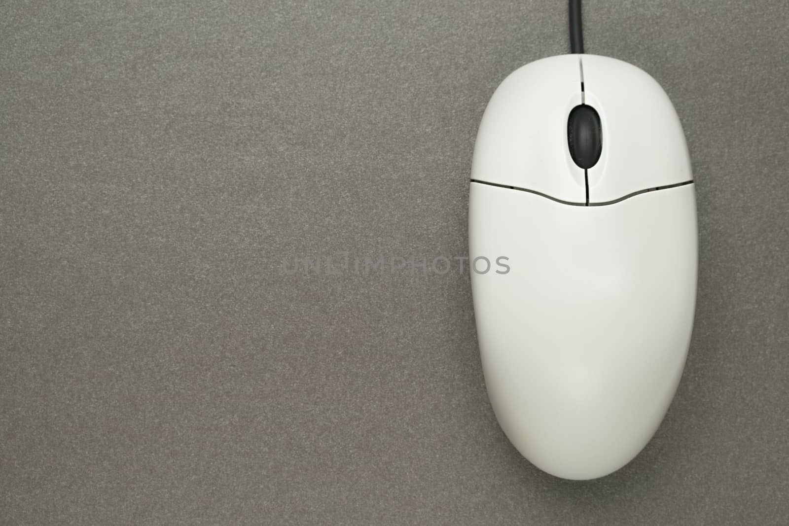Computer mouse on grey background