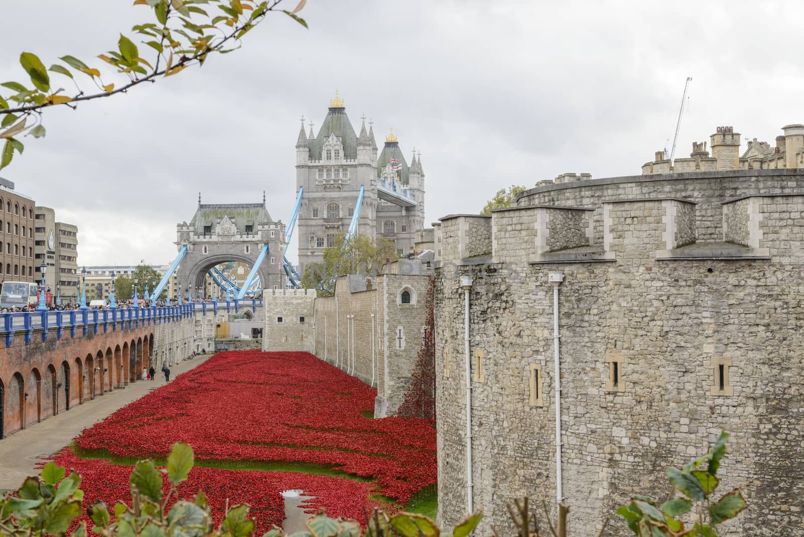 LONDON, UK - NOVEMBER 08: 'Blood Swept Lands and Seas of Red' installation at Tower of London. November 08, 2014 in London. The ceramic poppies were planted to mark the centenary of WWI's outbreak.