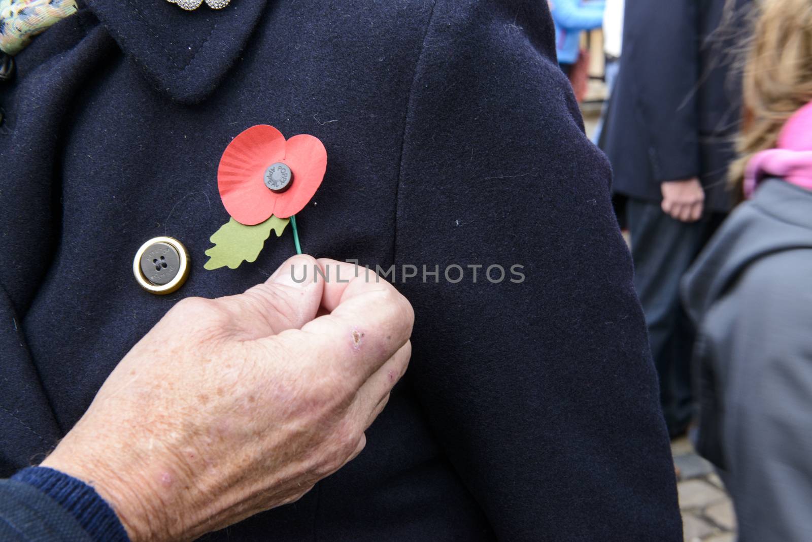 Cropped shot of elderly hand pinning poppy to a lady's black coat's lapel