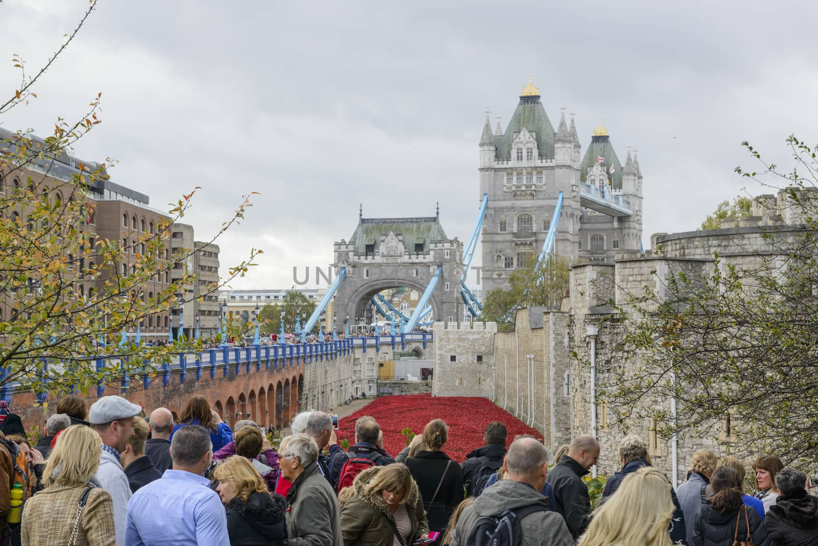 LONDON, UK - NOVEMBER 08: Crowd admiring art installation by Paul Cummins at Tower of London. November 08, 2014 in London. The ceramic poppies were planted to mark the centenary of WWI's outbreak.