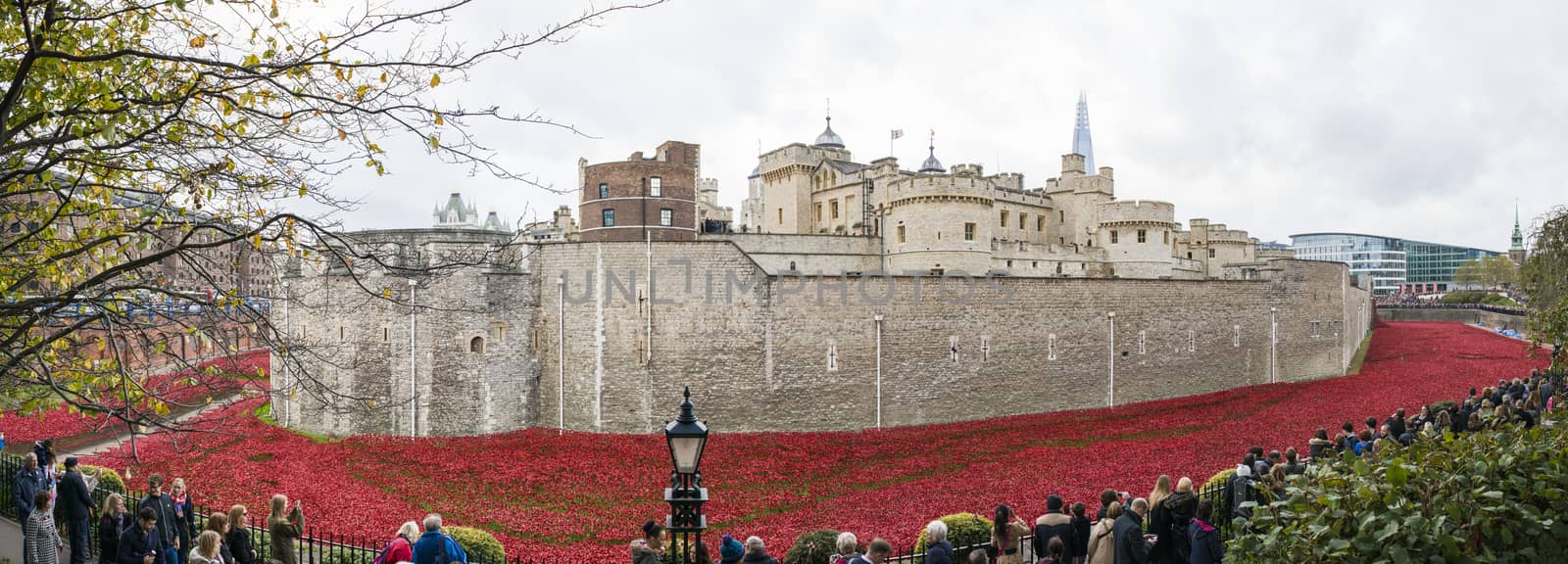 LONDON, UK - NOVEMBER 08: Panoramic of art installation by Paul Cummins at Tower of London. November 08, 2014 in London. The ceramic poppies were planted to mark the centenary of WWI's outbreak.