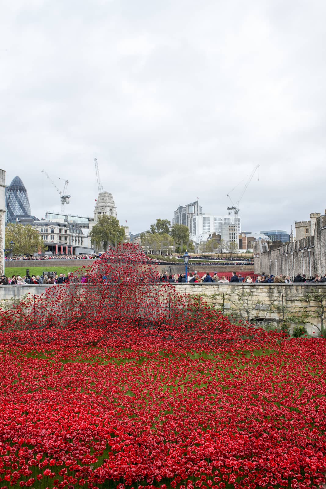LONDON, UK - NOVEMBER 08: 'Blood Swept Lands and Seas of Red' installation at Tower of London. November 08, 2014 in London. The ceramic poppies were planted to mark the centenary of WWI's outbreak.
