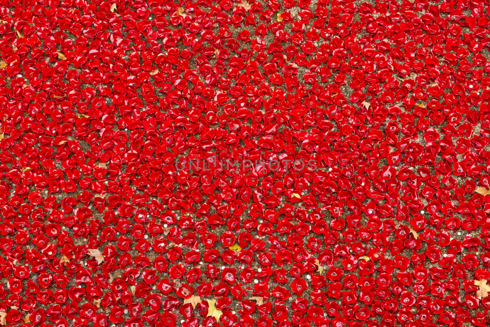 LONDON, UK - NOVEMBER 08: Detail of art installation by Paul Cummins at Tower of London. November 08, 2014 in London. The ceramic poppies were planted to mark the centenary of WWI's outbreak.