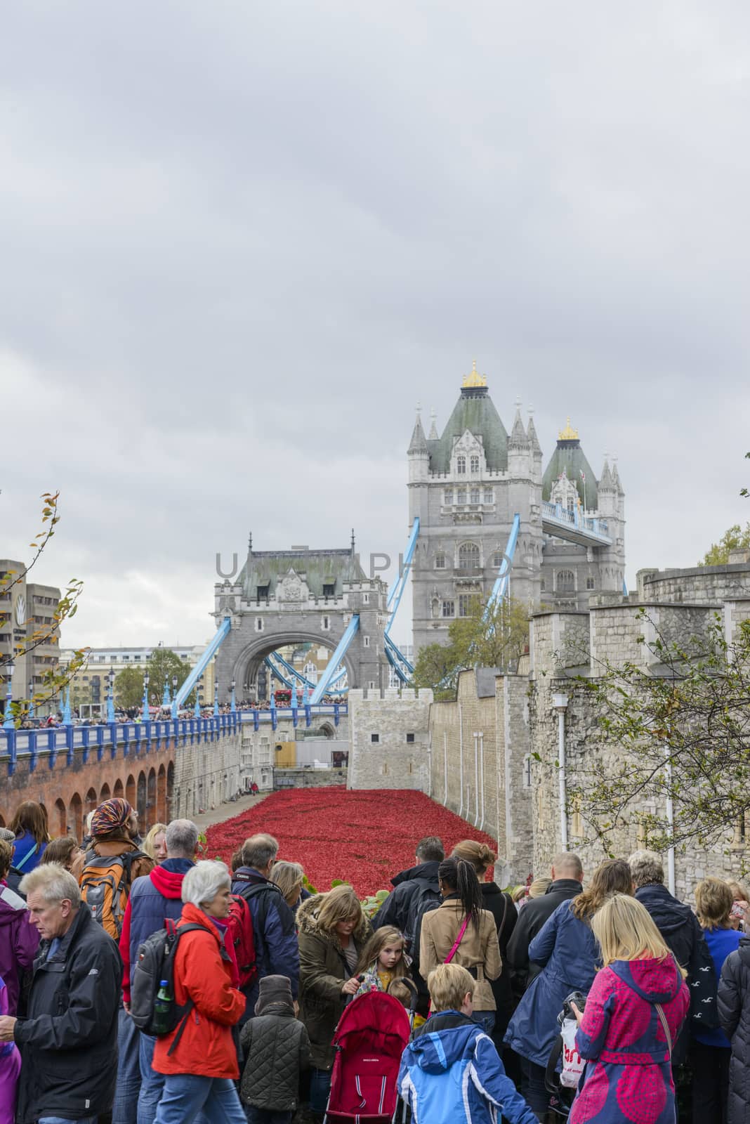 LONDON, UK - NOVEMBER 08: Crowd admiring art installation by Paul Cummins at Tower of London. November 08, 2014 in London. The ceramic poppies were planted to mark the centenary of WWI's outbreak.