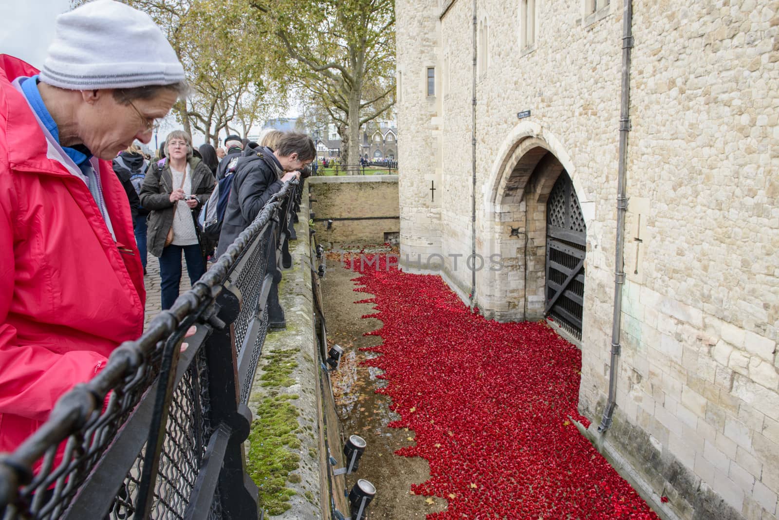 LONDON, UK - NOVEMBER 08: People admiring art installation by Paul Cummins at Tower of London. November 08, 2014 in London. The ceramic poppies were planted to mark the centenary of WWI's outbreak.