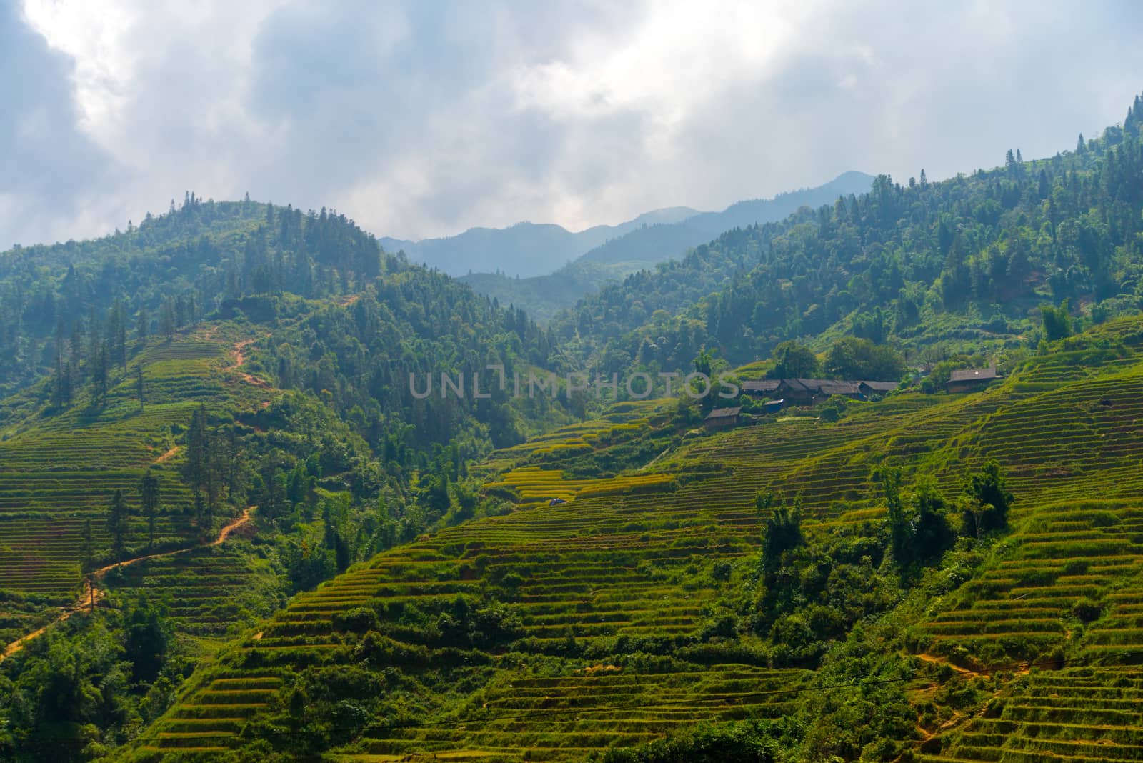 Beautiful View of mountains contain lot of terraced fields