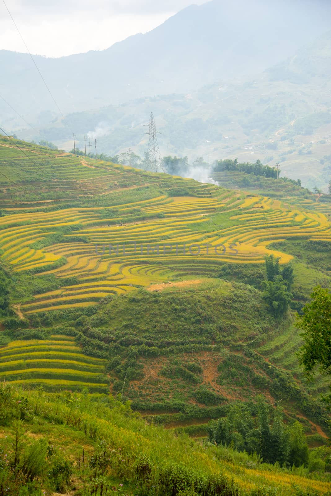 Beautiful View of mountains contain lot of terraced fields