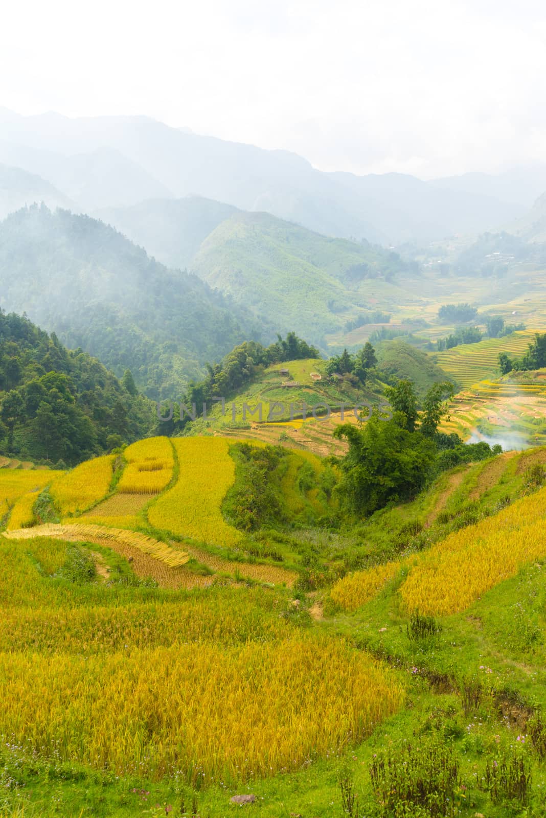 Beautiful View of mountains contain lot of terraced fields