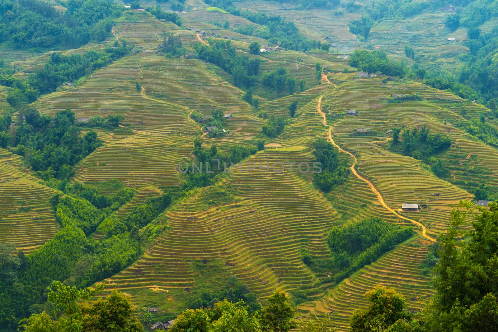 Beautiful View of mountains contain terraced fields by iamway