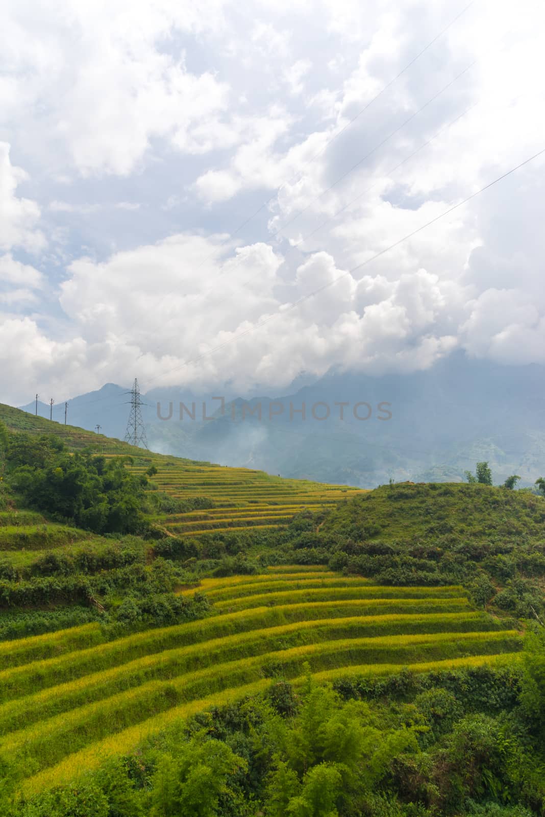 Beautiful View of mountains contain terraced fields by iamway