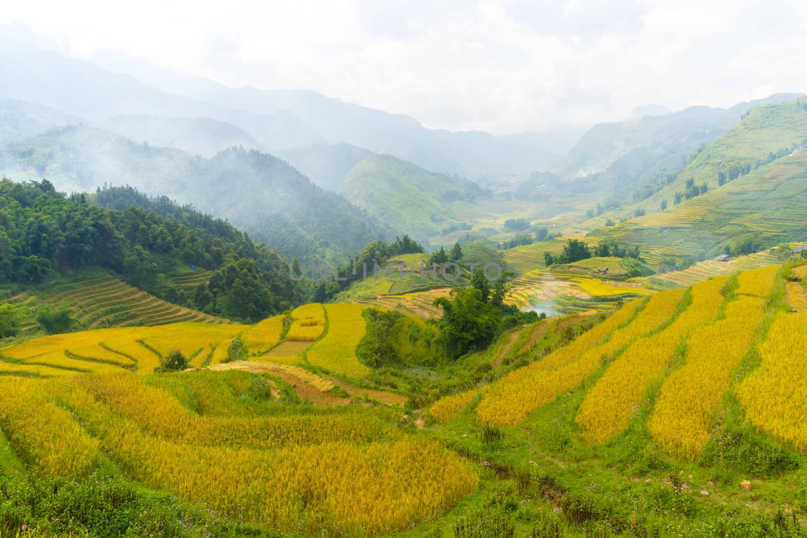 Beautiful View of mountains contain terraced fields by iamway