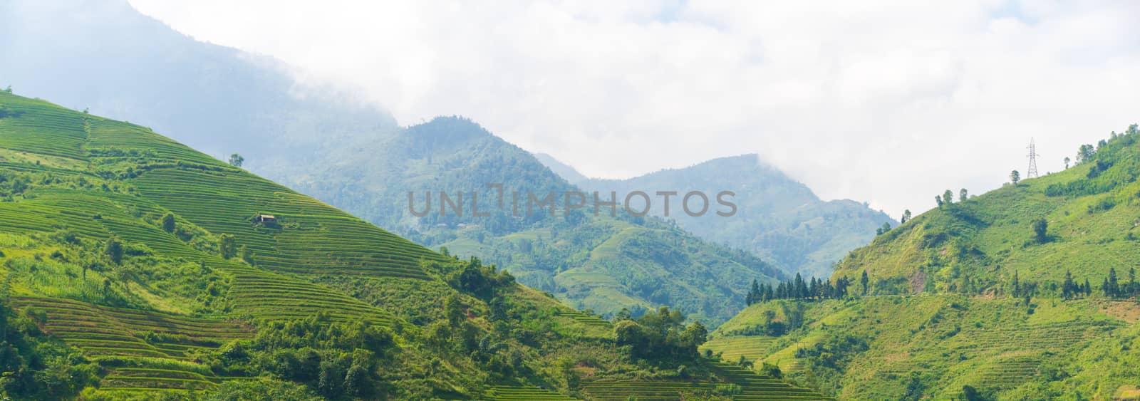 Panorama Beautiful View of mountains have lot of terraced fields