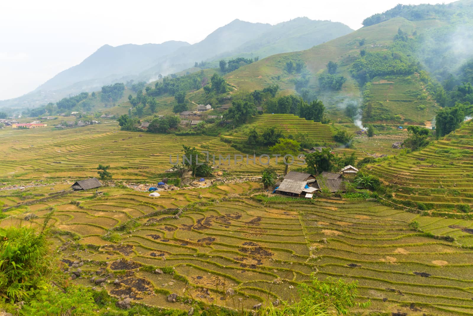 Beautiful View of mountains contain terraced fields by iamway