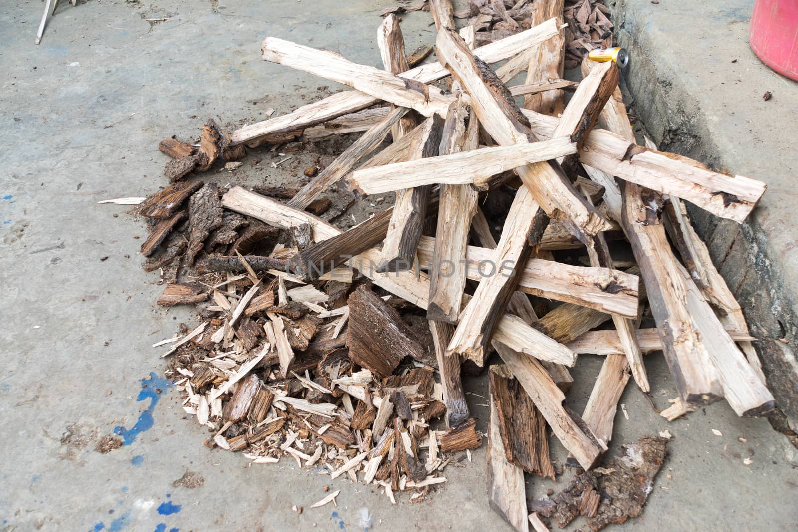 Various size of Pyre prepared for cooking