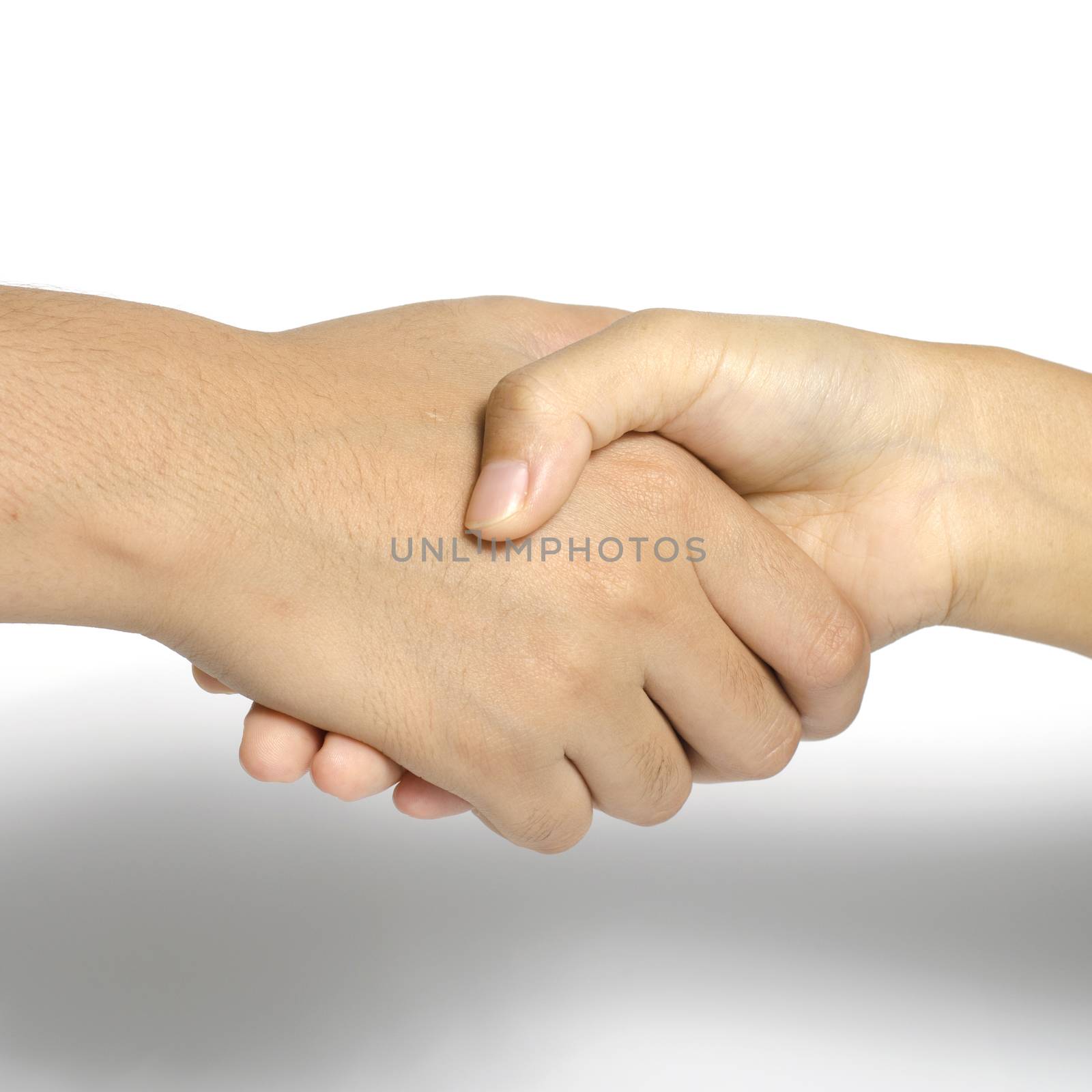 two people shake hands  business concept