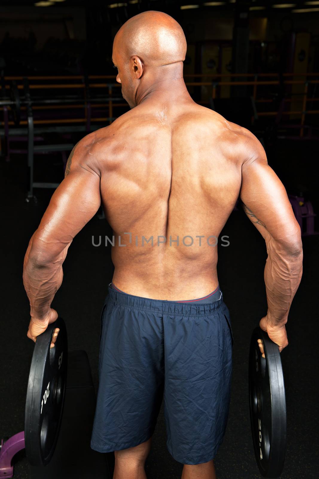 Muscular Back by graficallyminded