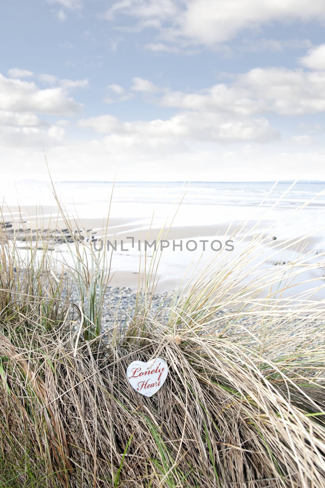 lonely blue wooden love heart in dunes on an Irish beach in summer