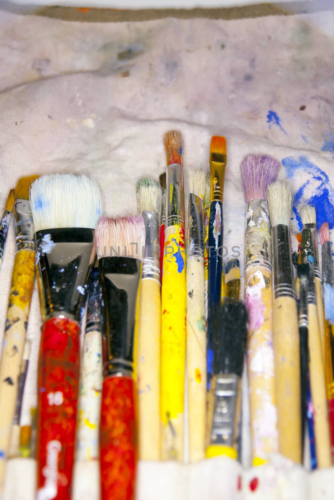 collection of various artists brushes in all sizes on a canvas background