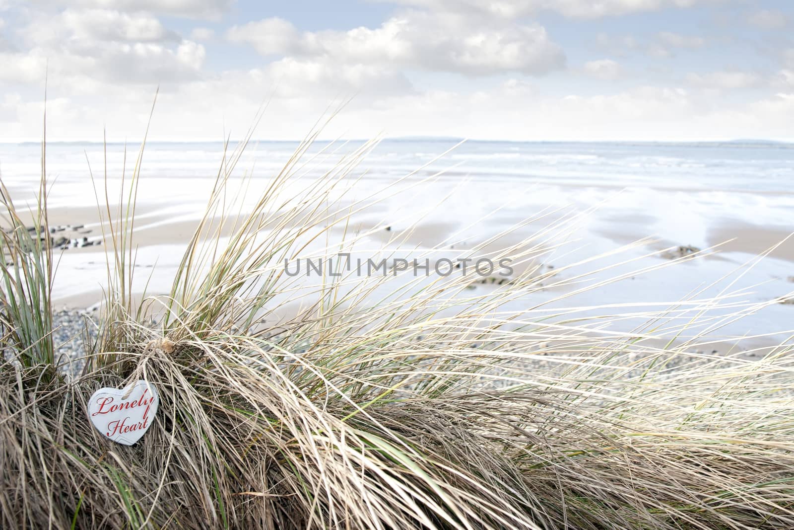 lonely blue wooden love heart in dunes on an Irish beach in summer