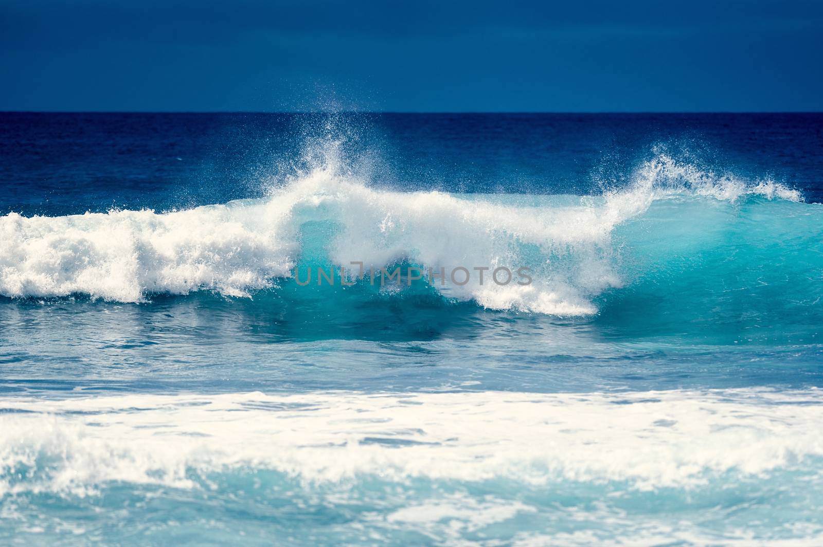 Splash wave on the surface of the ocean