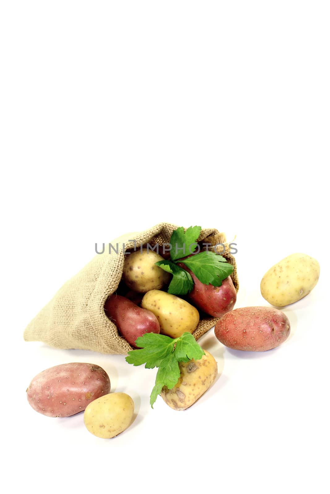 potatoes in jute sack on bright background