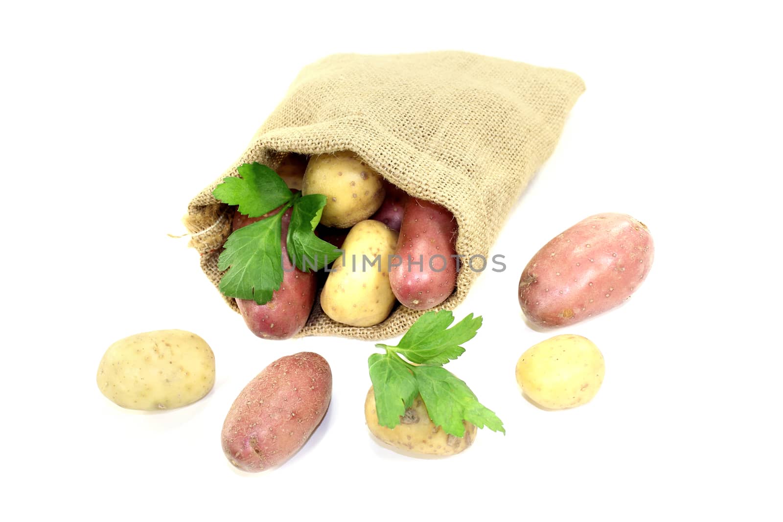 colorful potatoes in jute sack by discovery