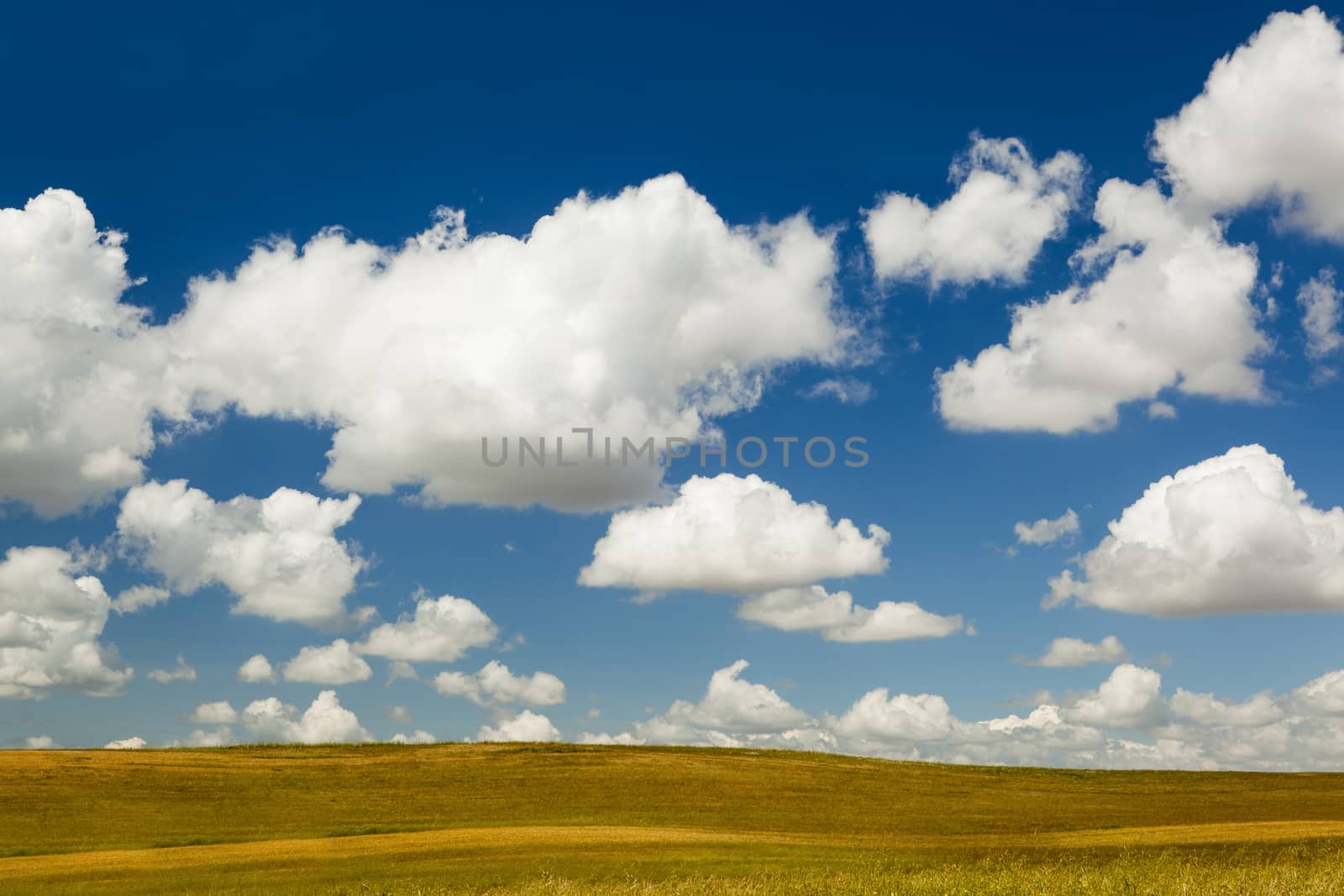 Beautiful landscape with an amazing blue sky and white clouds