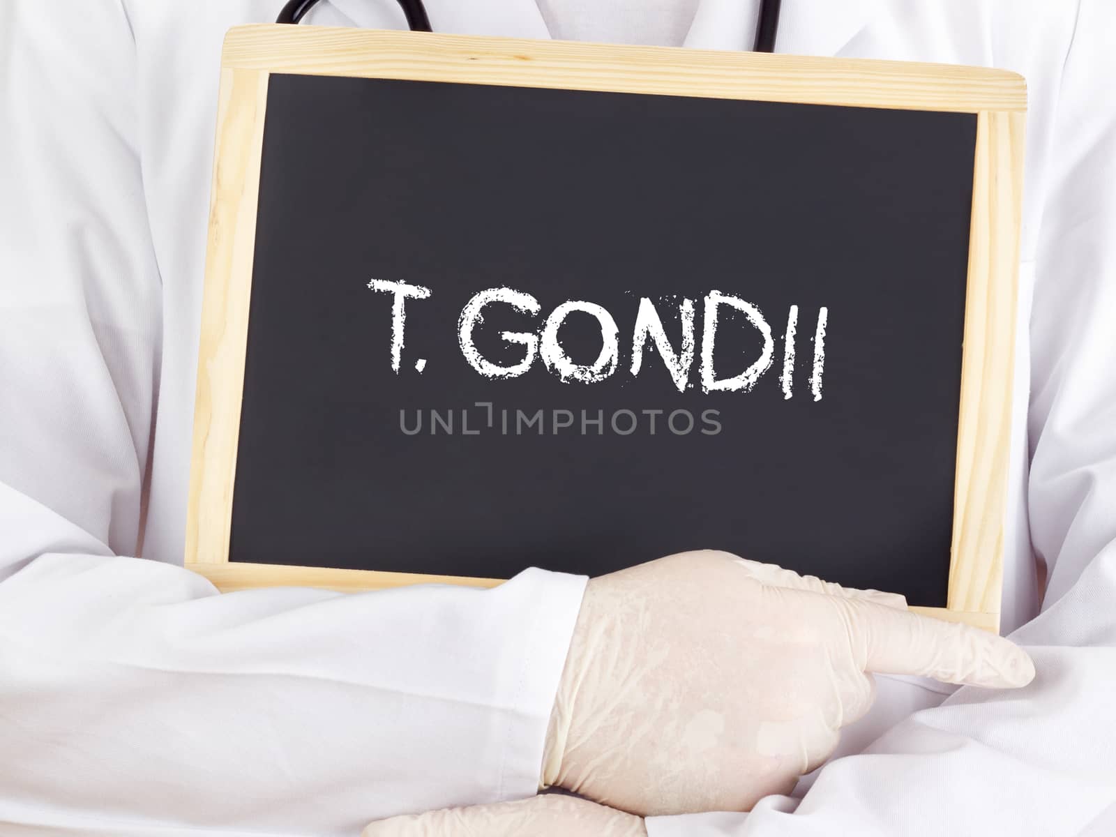 Doctor shows information: T gondii