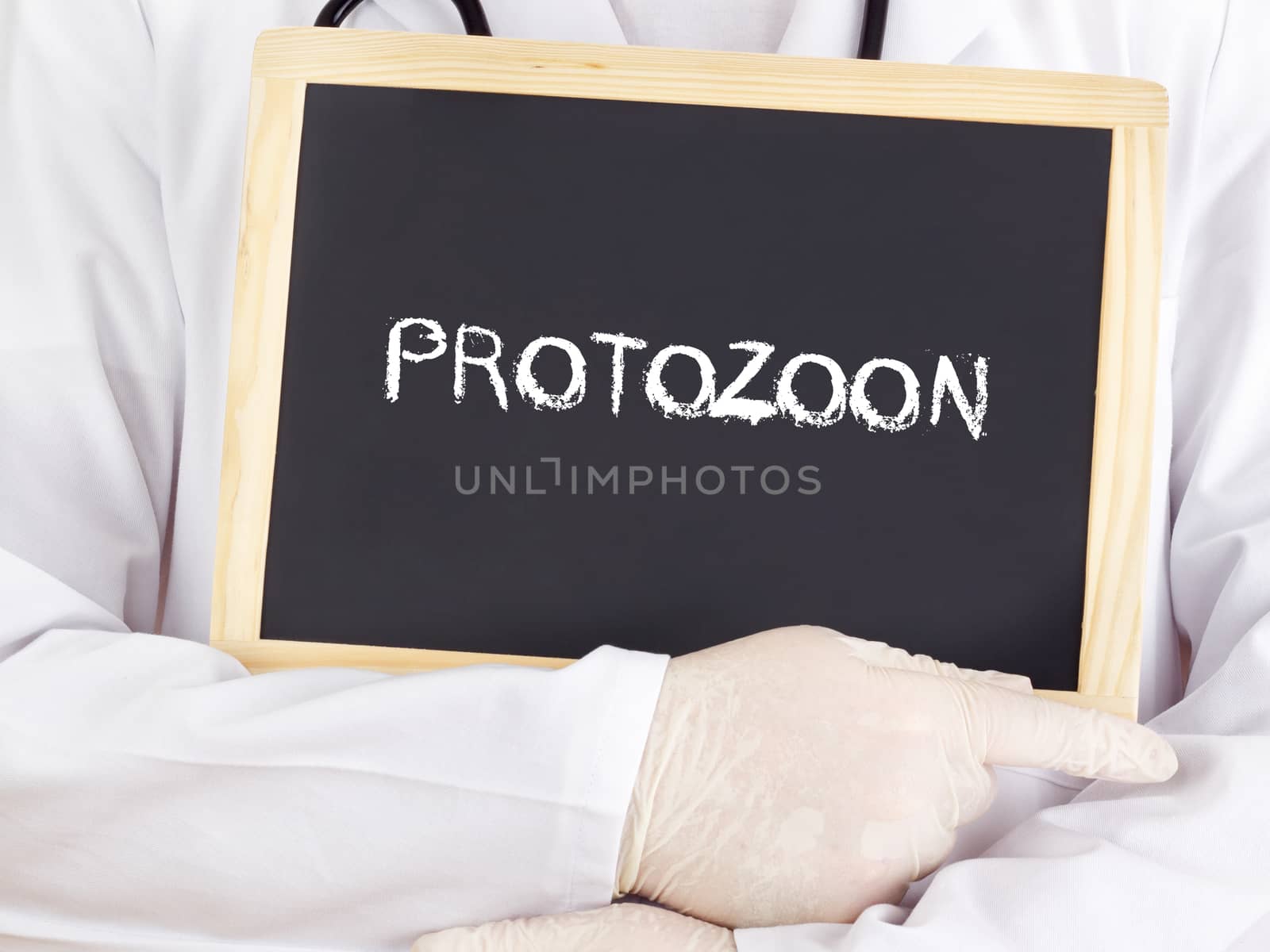 Doctor shows information: protozoon