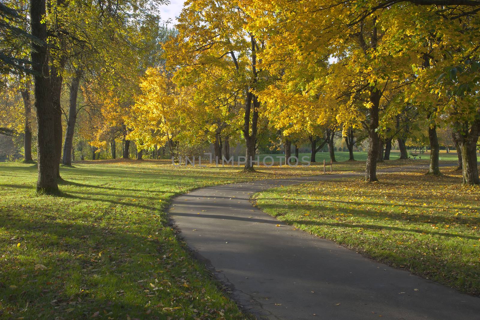 Autumn landscape in a park. by Rigucci