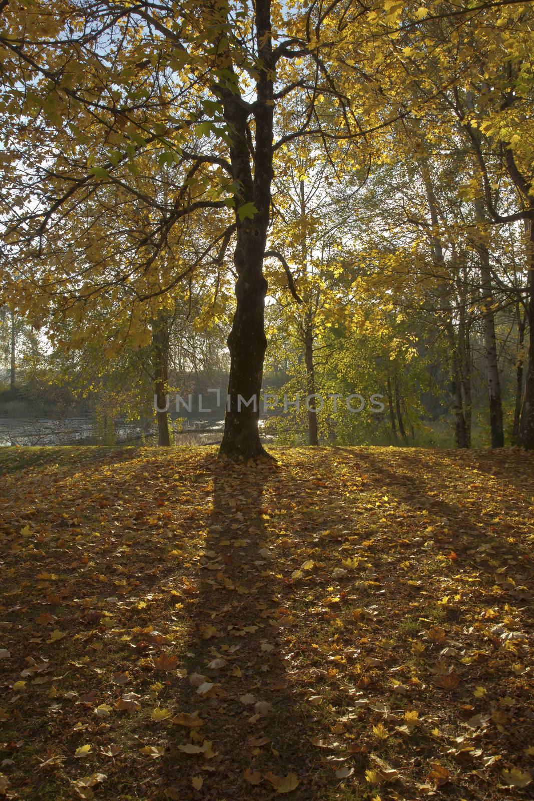 Autumn landscape in Blue lake park Oregon.