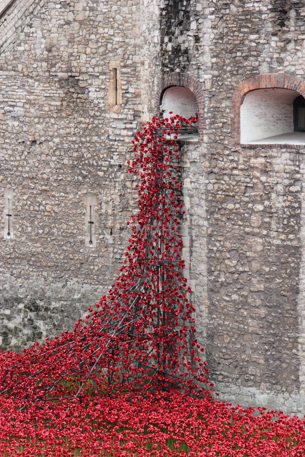 Poppies at The Tower of London London UK by mitzy