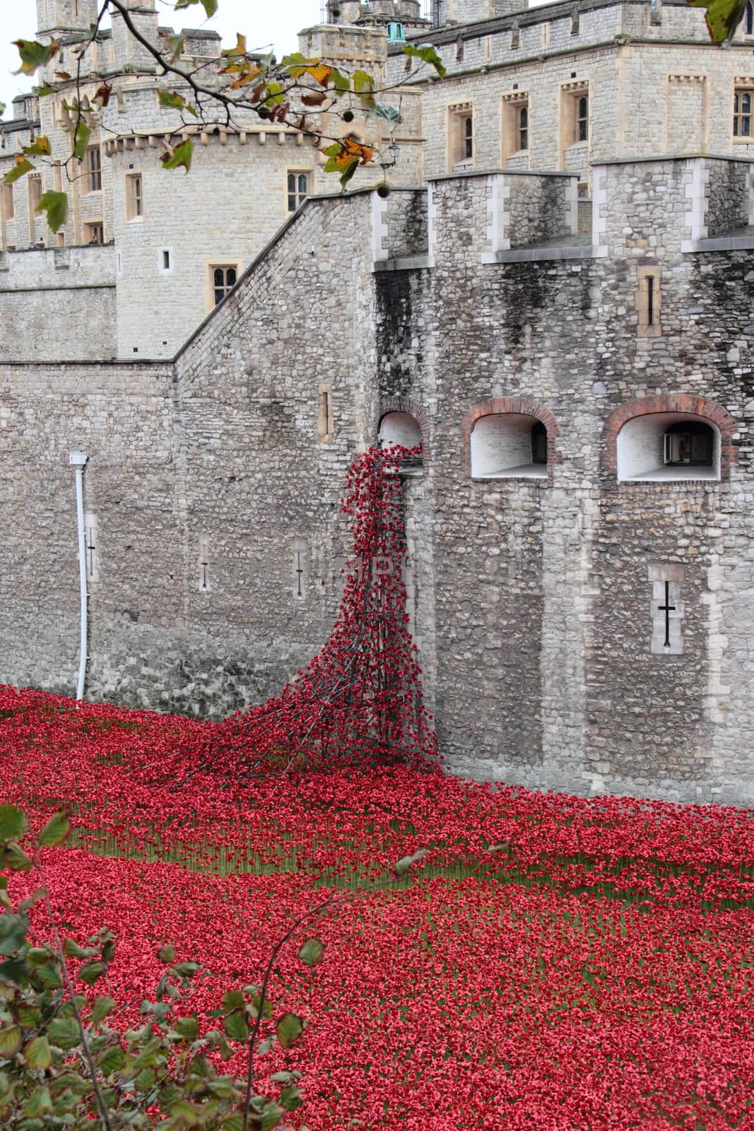 Poppies at The Tower of London London UK by mitzy