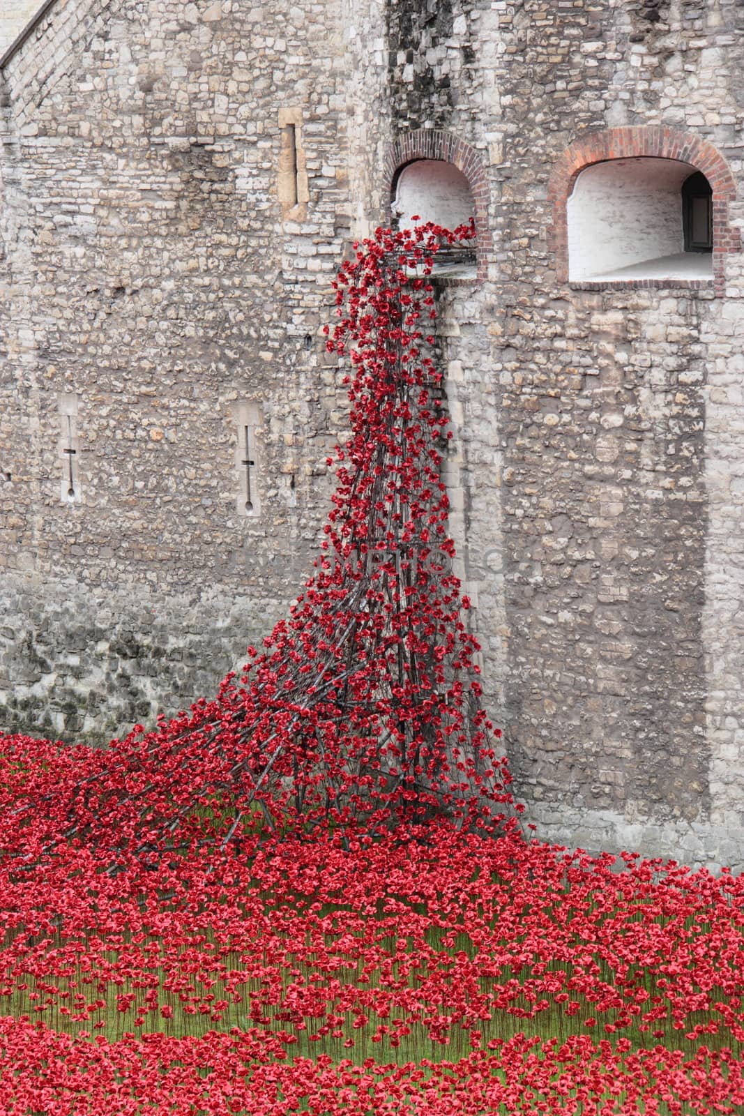 Poppies at The Tower of London London UK