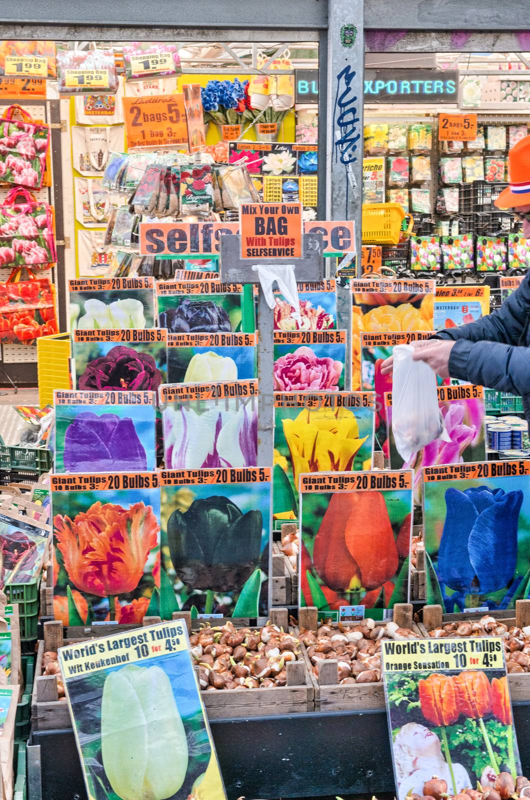 AMSTERDAM, MAY 1: Flowers and Bulbs in Bloemenmarkt, May 1, 2013 by jovannig