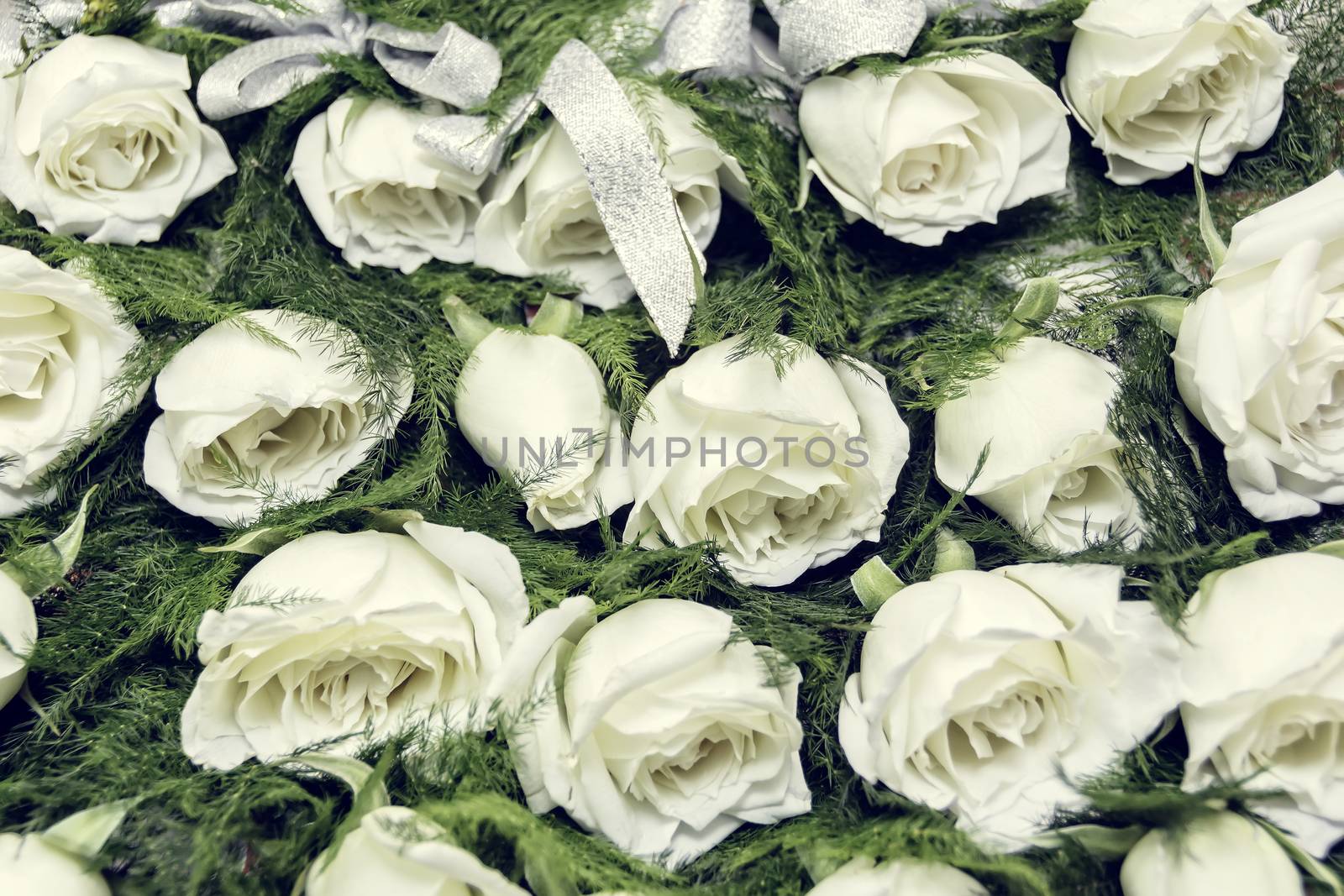 Rows of white rose boutonniere for wedding entourage
