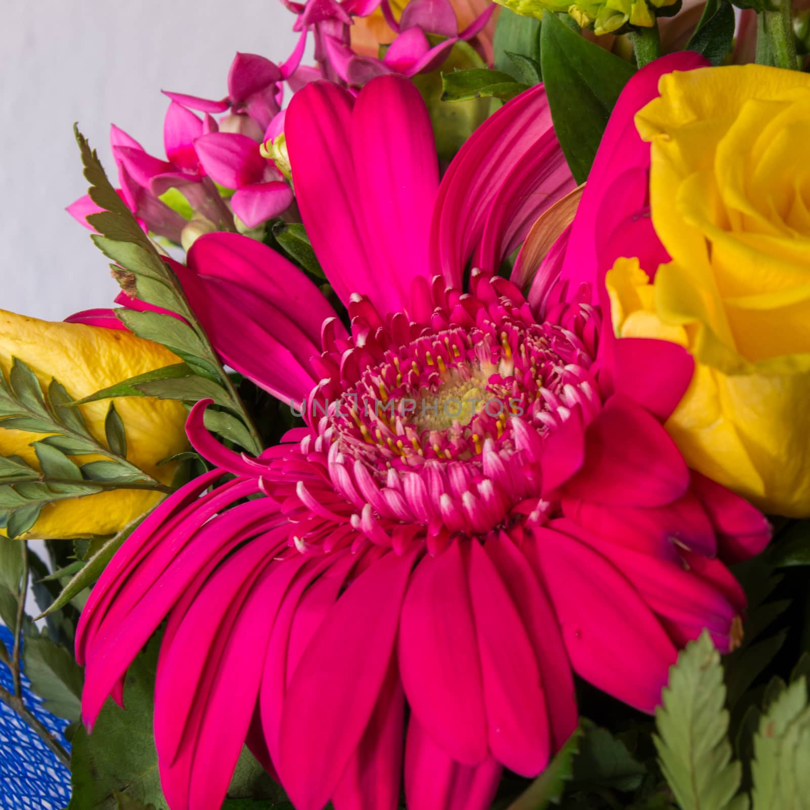 Bouquet of various colorful flowers by enrico.lapponi