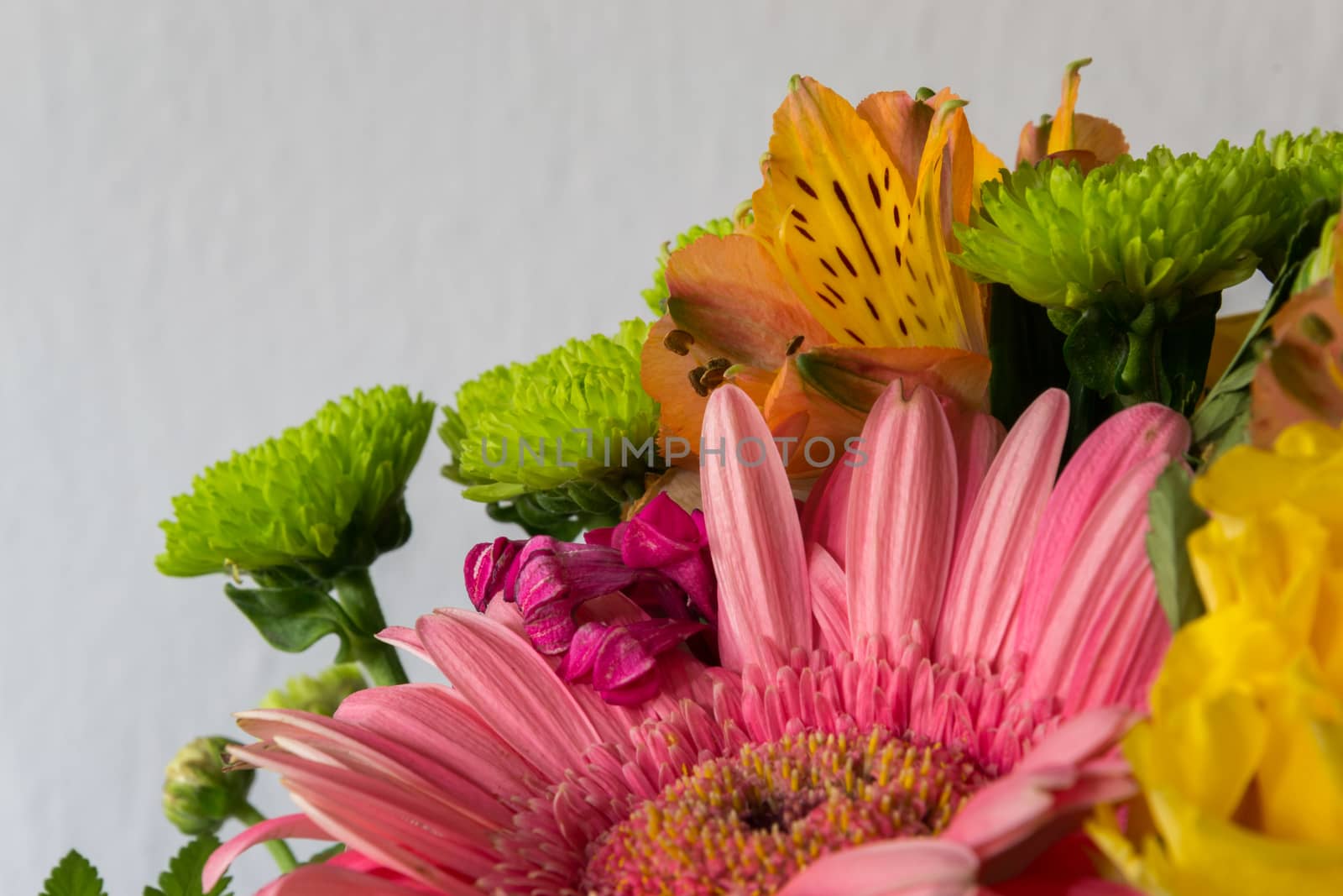 Bouquet of various colorful flowers by enrico.lapponi