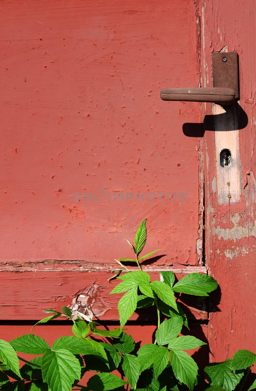 old door detail