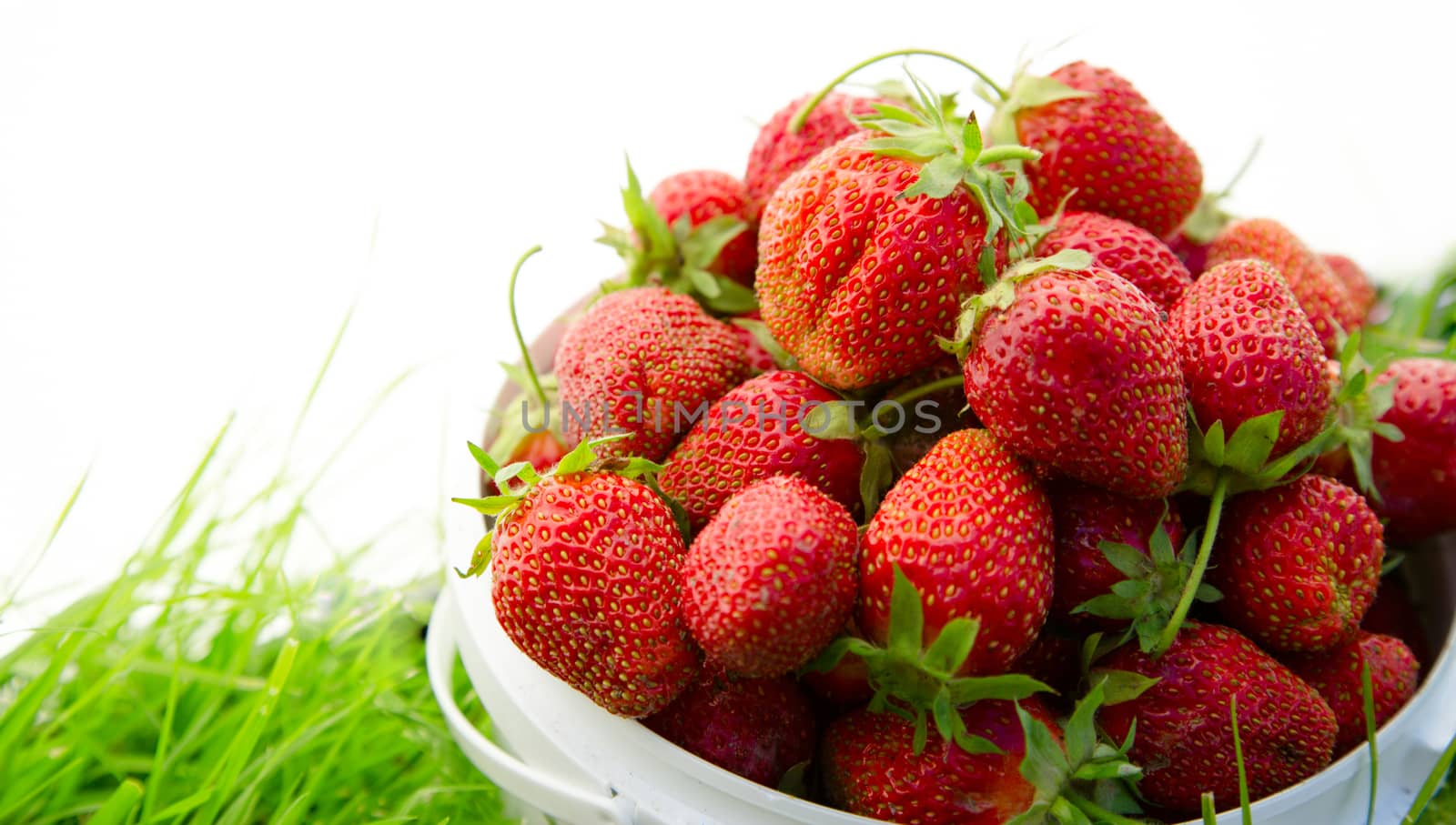Ripe strawberry in bucket on grass by Garsya