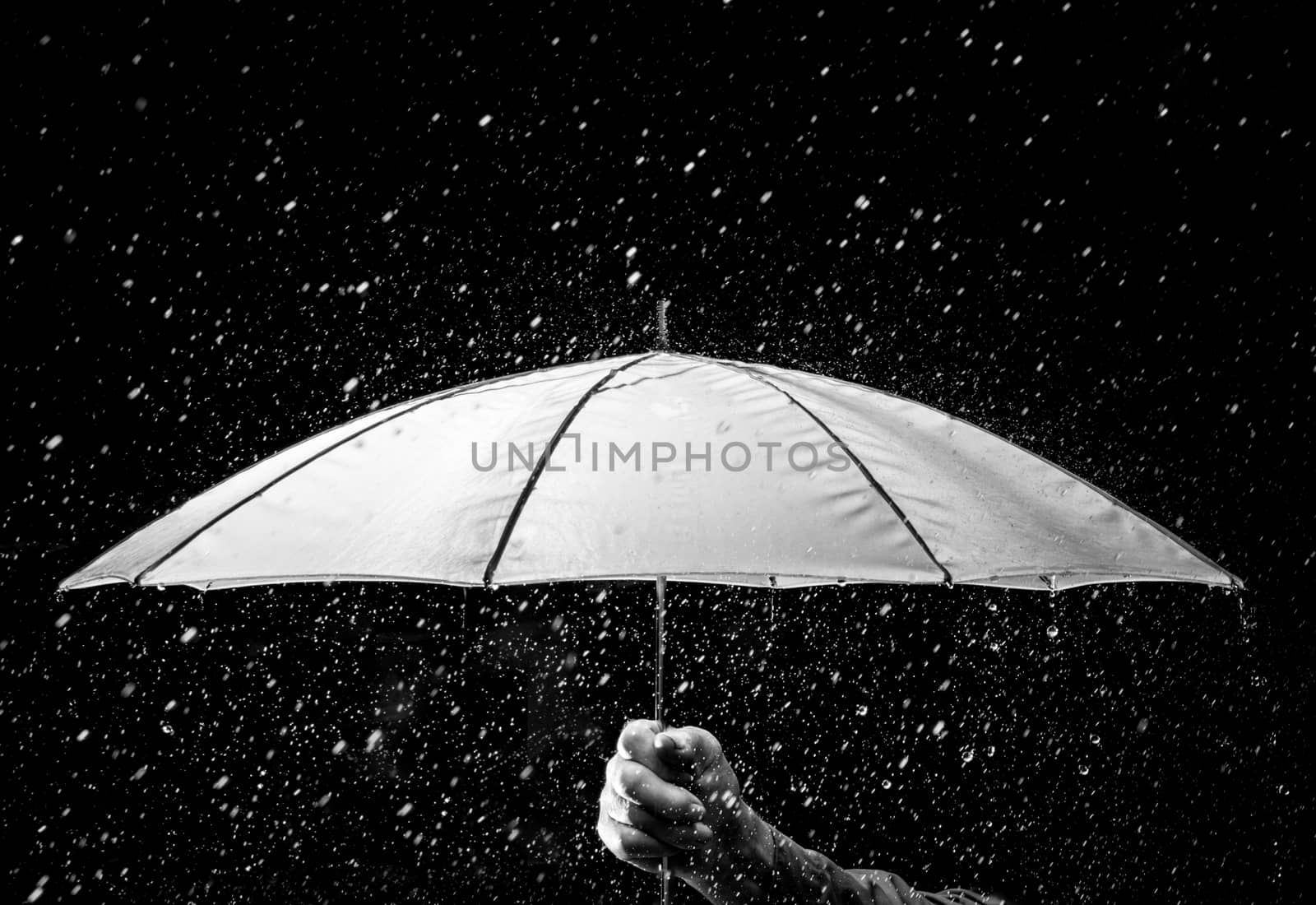 Umbrella under raindrops in black and white by Garsya