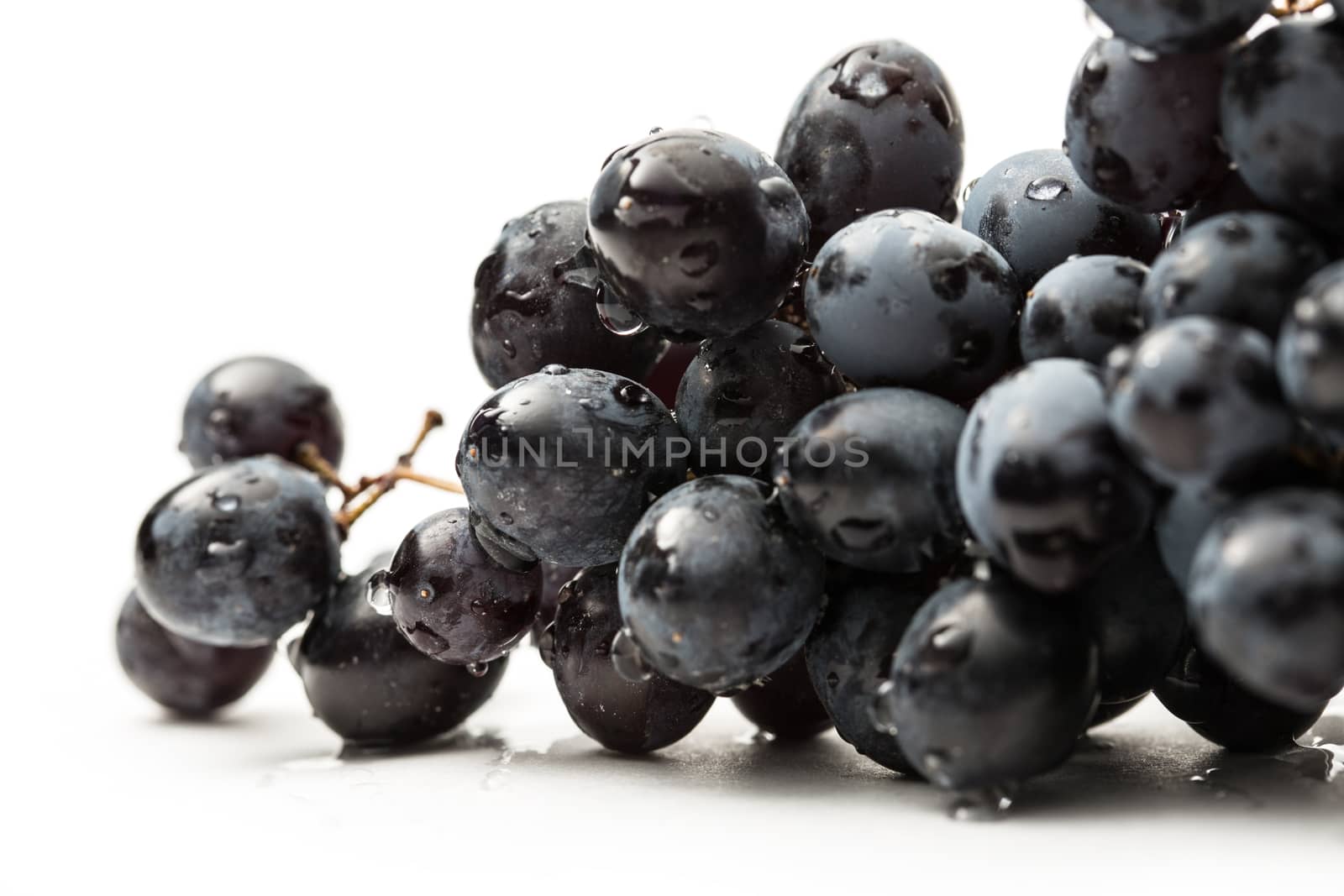 Twig of black grape on white by Garsya